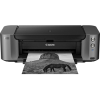 Canon PIXMA PRO-10S consumibles de impresión