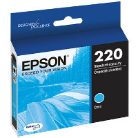 Epson T220220 InkJet Cartridge